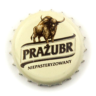 Zubr Prazubr
